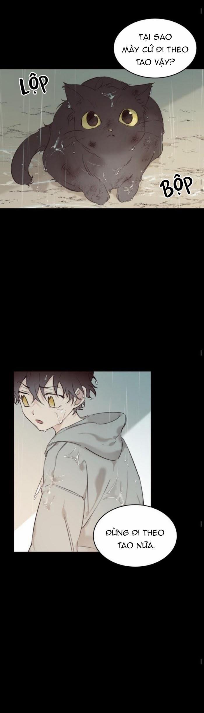 May Belongs To Me 15 trang 1