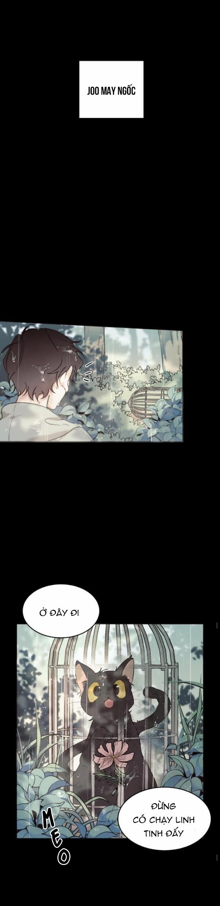 May Belongs To Me 15 trang 12