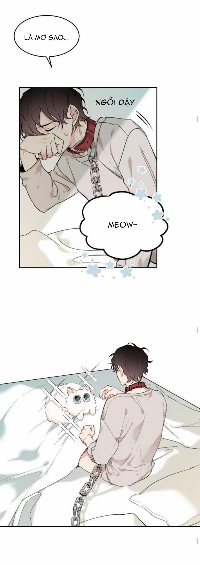 May Belongs To Me 15 trang 14