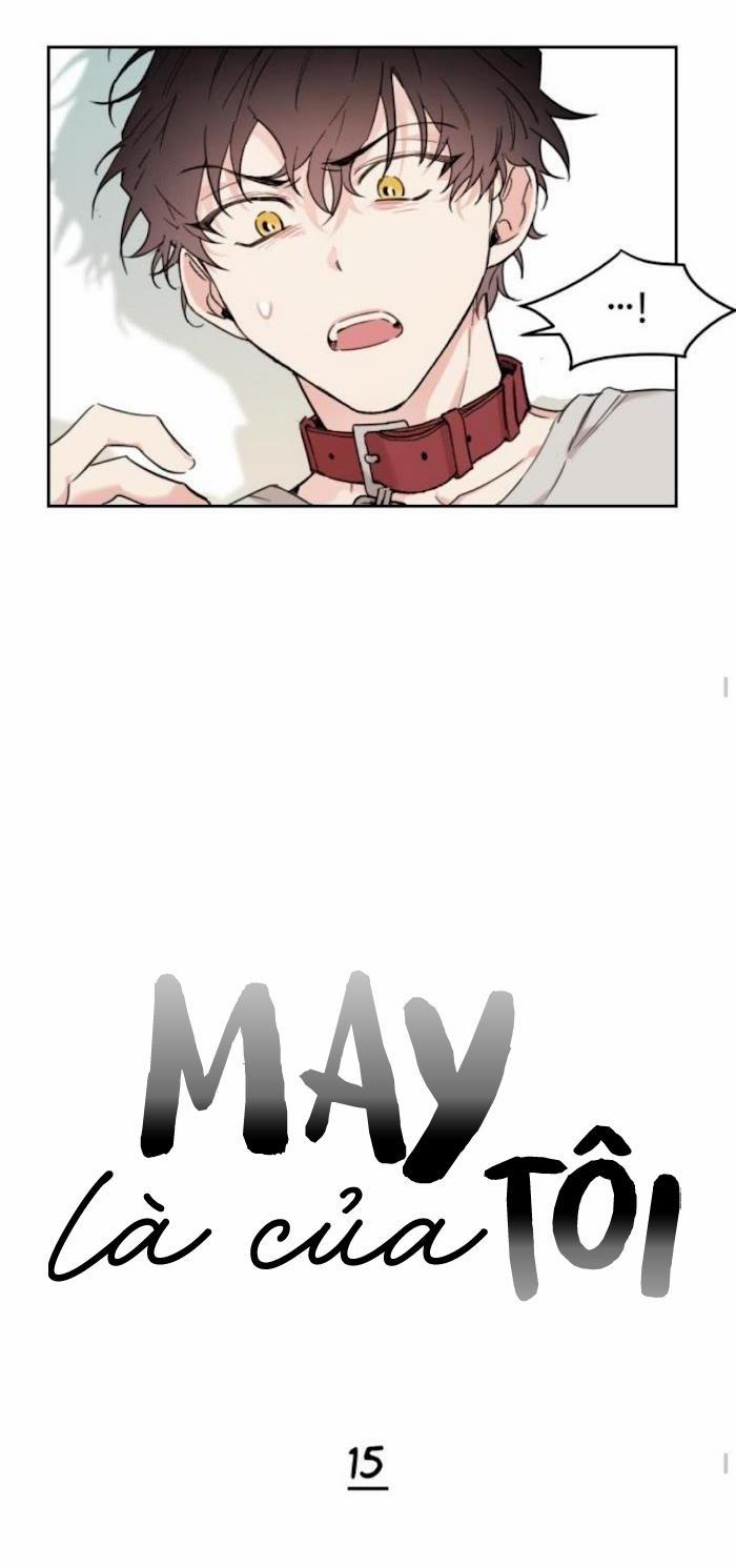 May Belongs To Me 15 trang 15