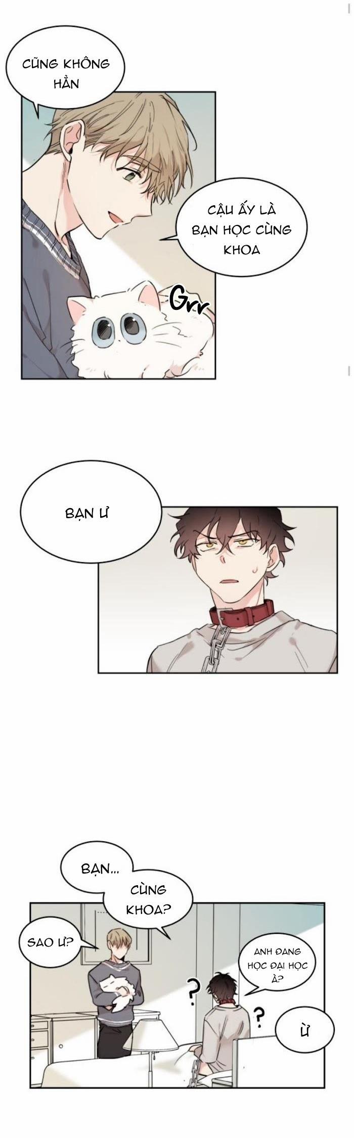 May Belongs To Me 15 trang 19