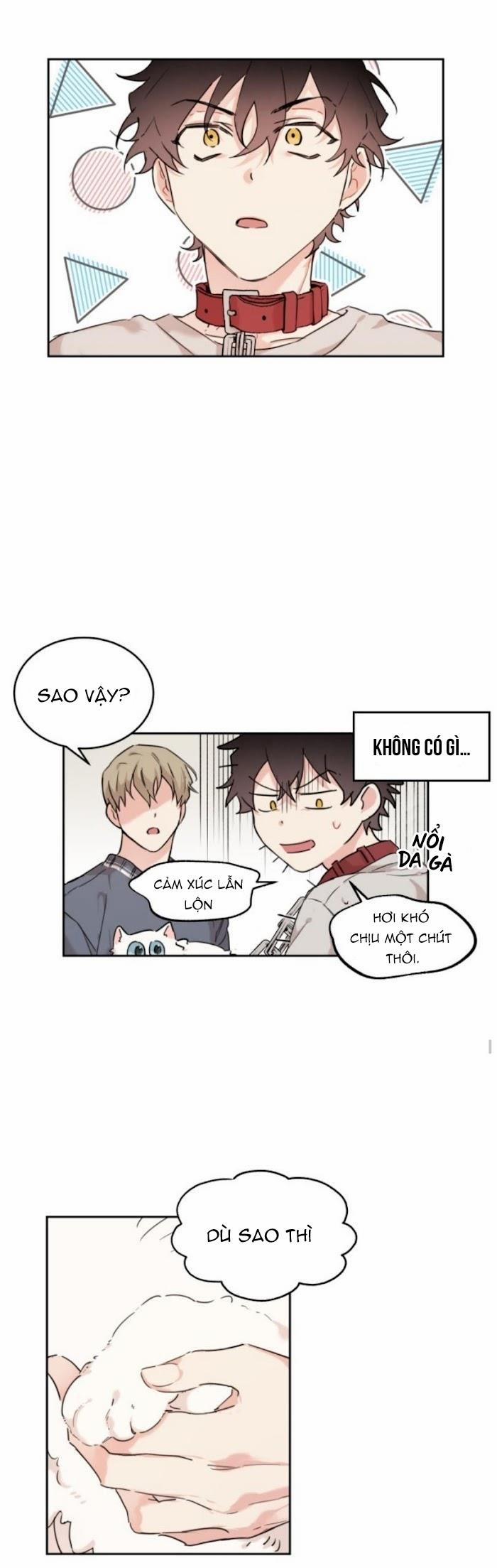 May Belongs To Me 15 trang 21