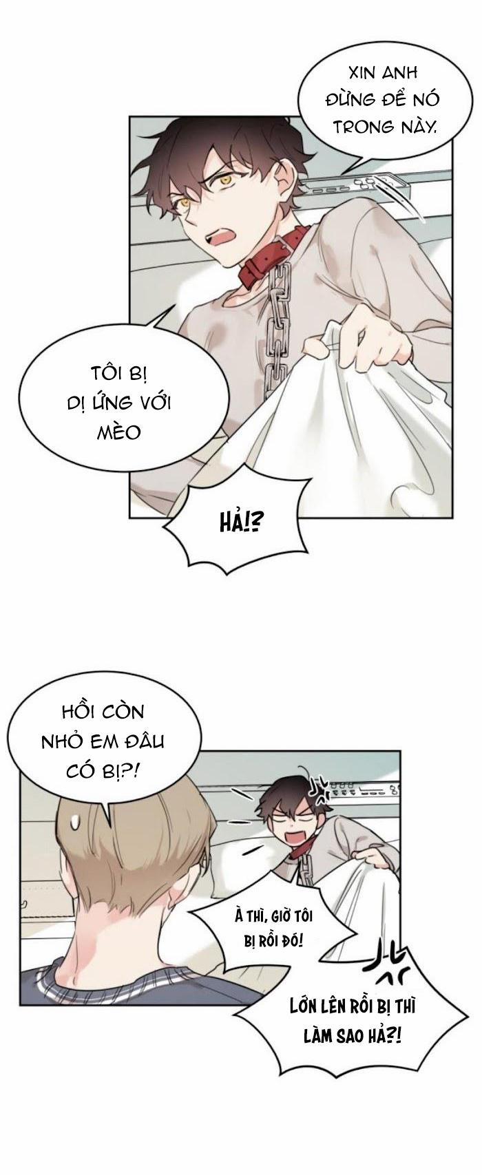 May Belongs To Me 15 trang 23