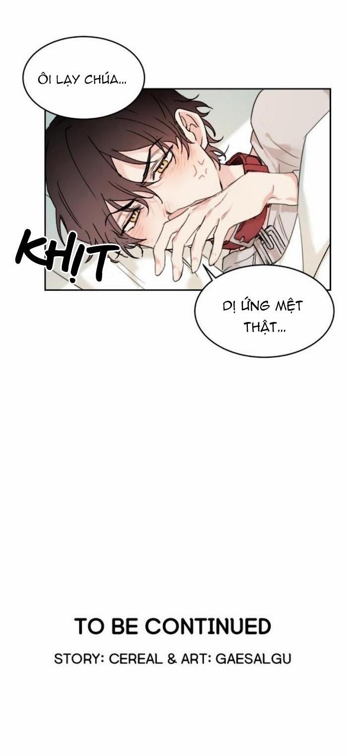 May Belongs To Me 15 trang 29