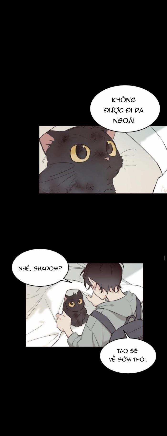 May Belongs To Me 15 trang 7