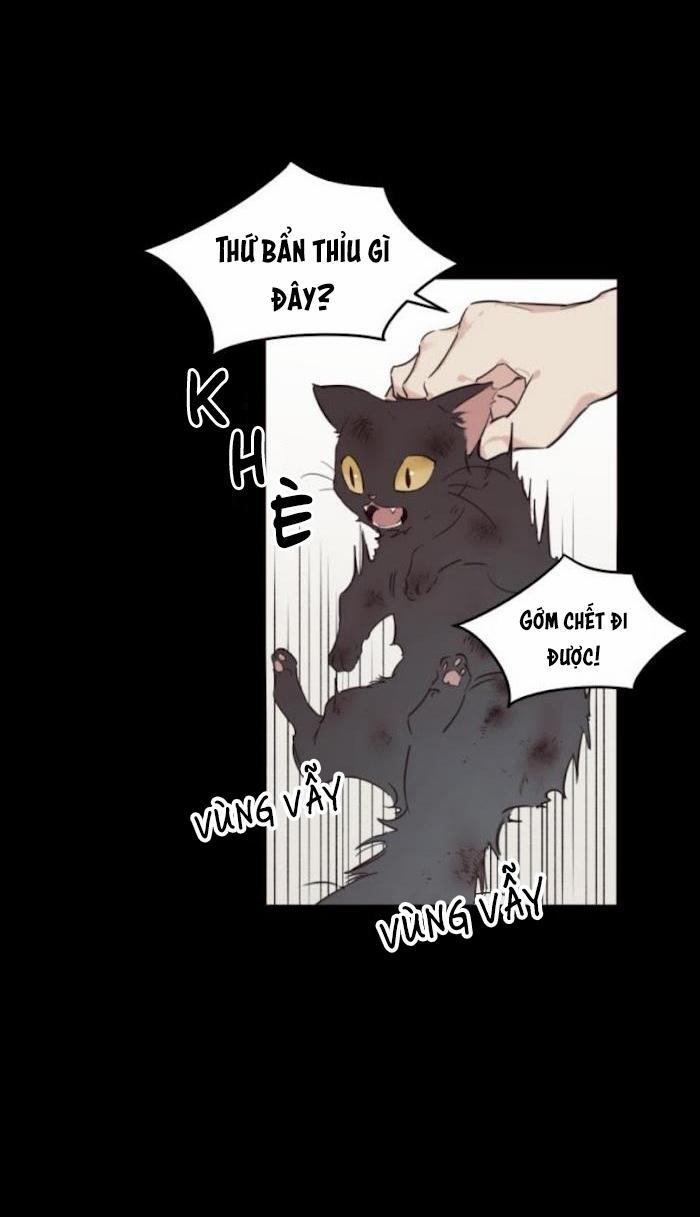 May Belongs To Me 15 trang 9