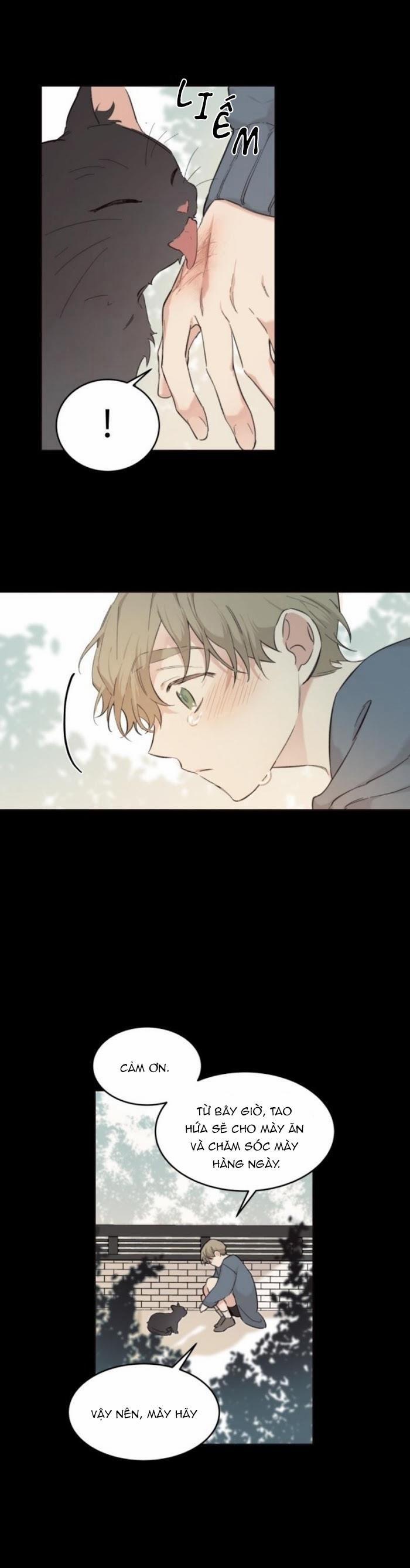 May Belongs To Me 16 trang 12