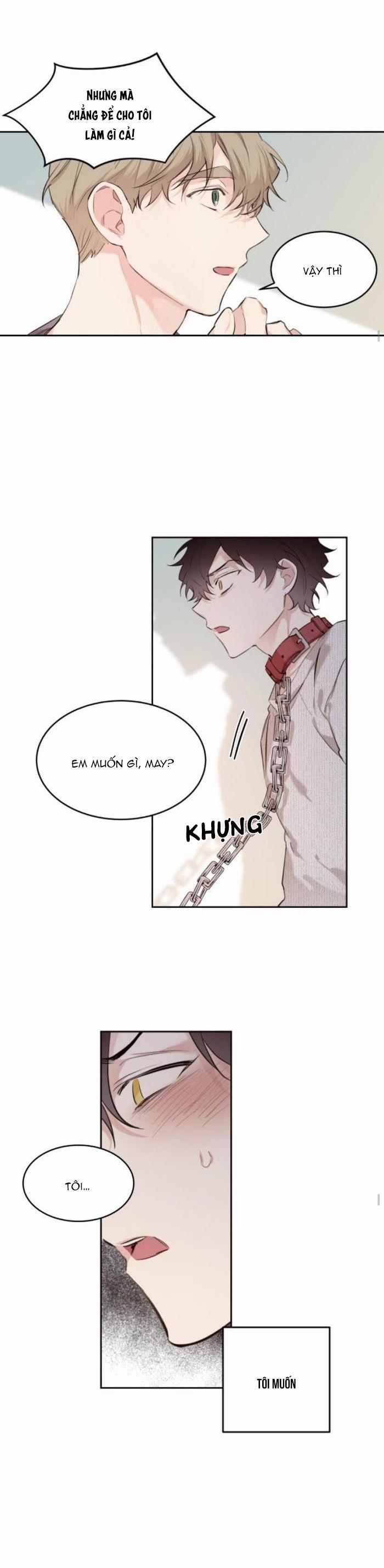 May Belongs To Me 16 trang 14