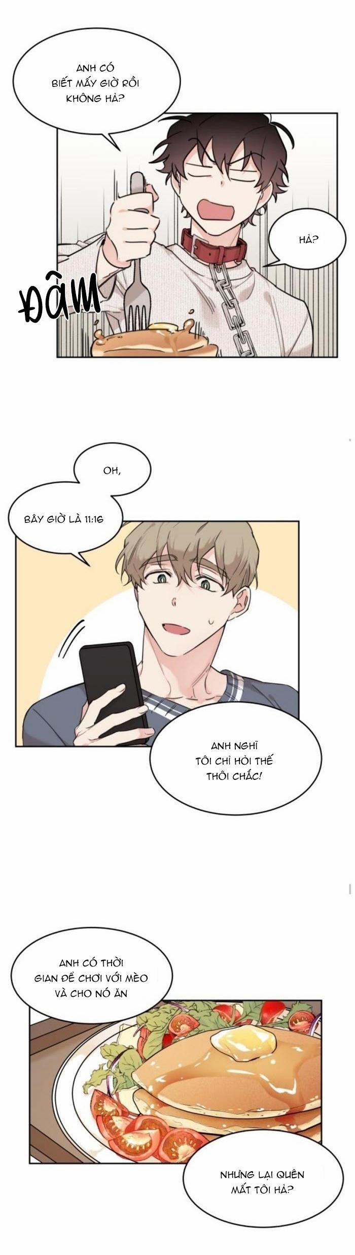 May Belongs To Me 16 trang 2