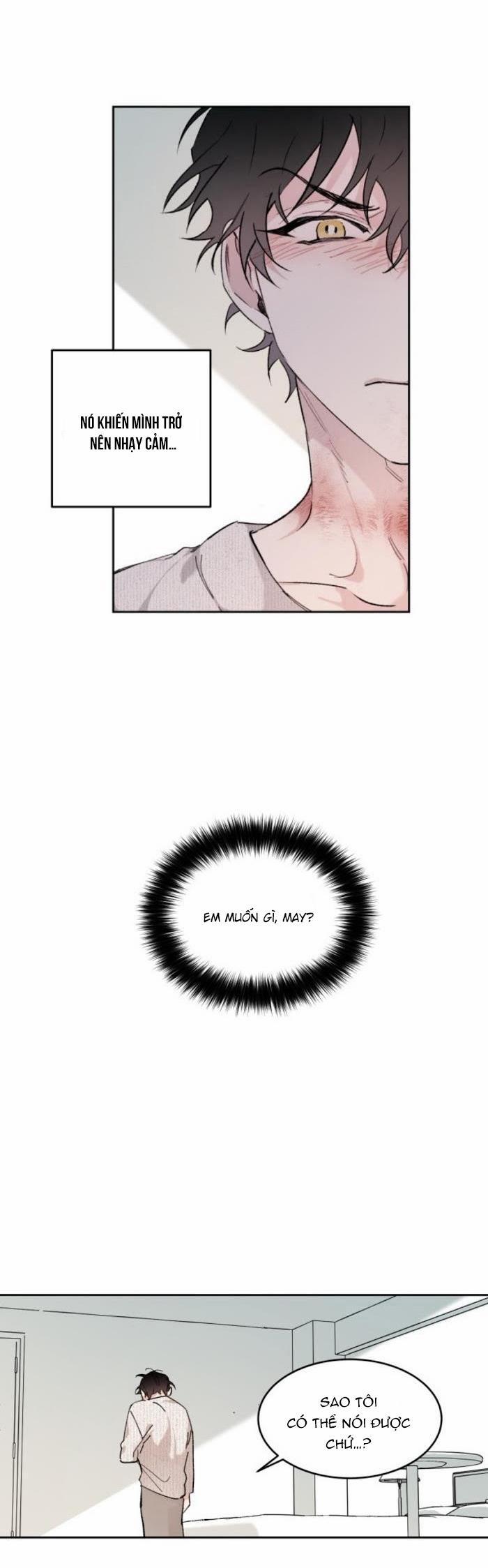 May Belongs To Me 16 trang 23