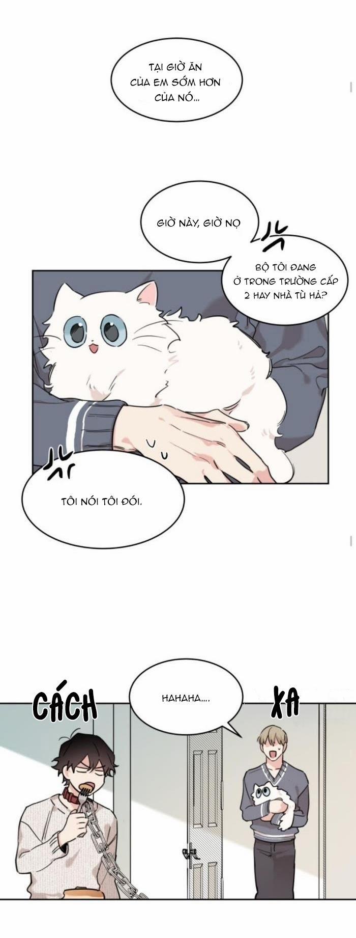 May Belongs To Me 16 trang 3