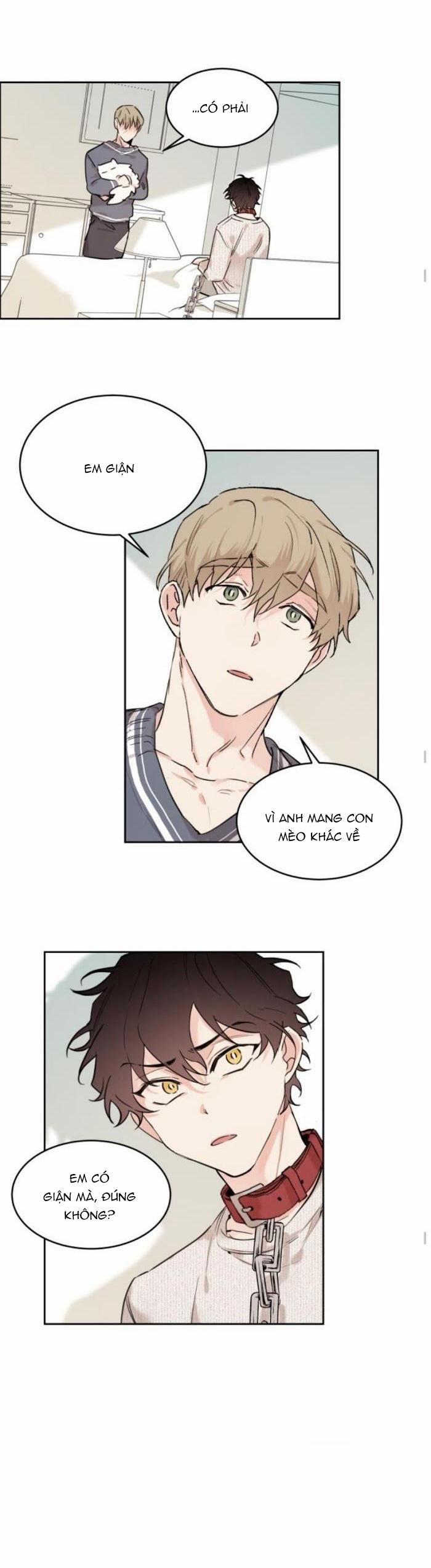 May Belongs To Me 16 trang 7