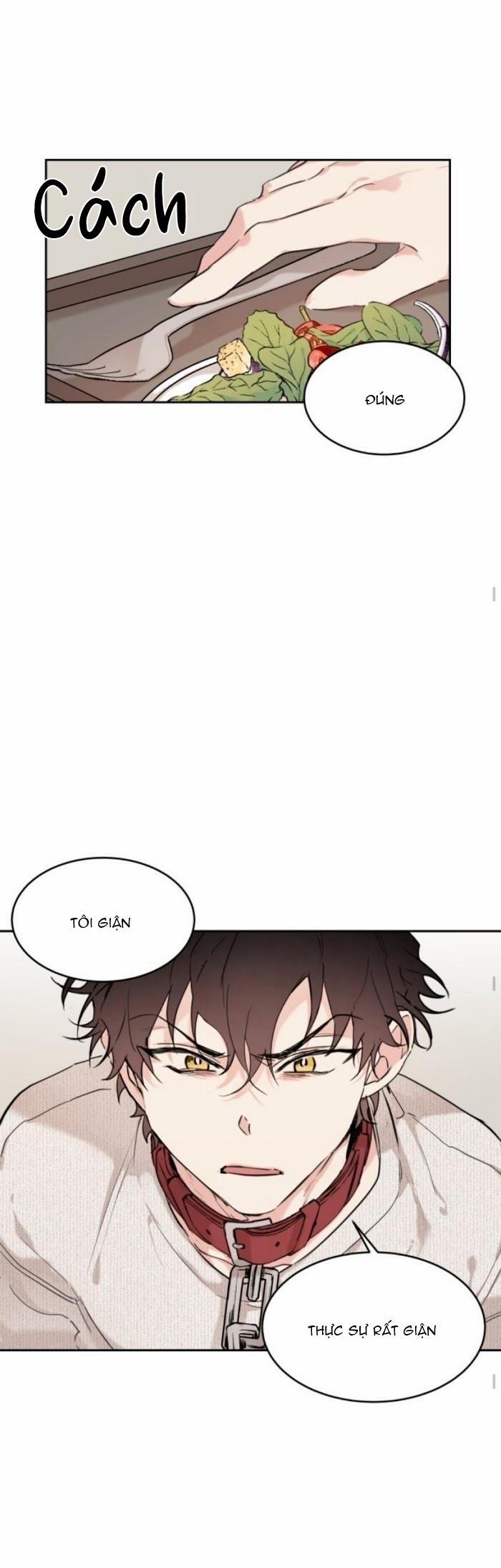 May Belongs To Me 16 trang 8