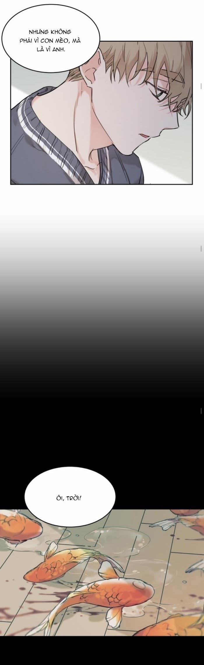 May Belongs To Me 16 trang 9