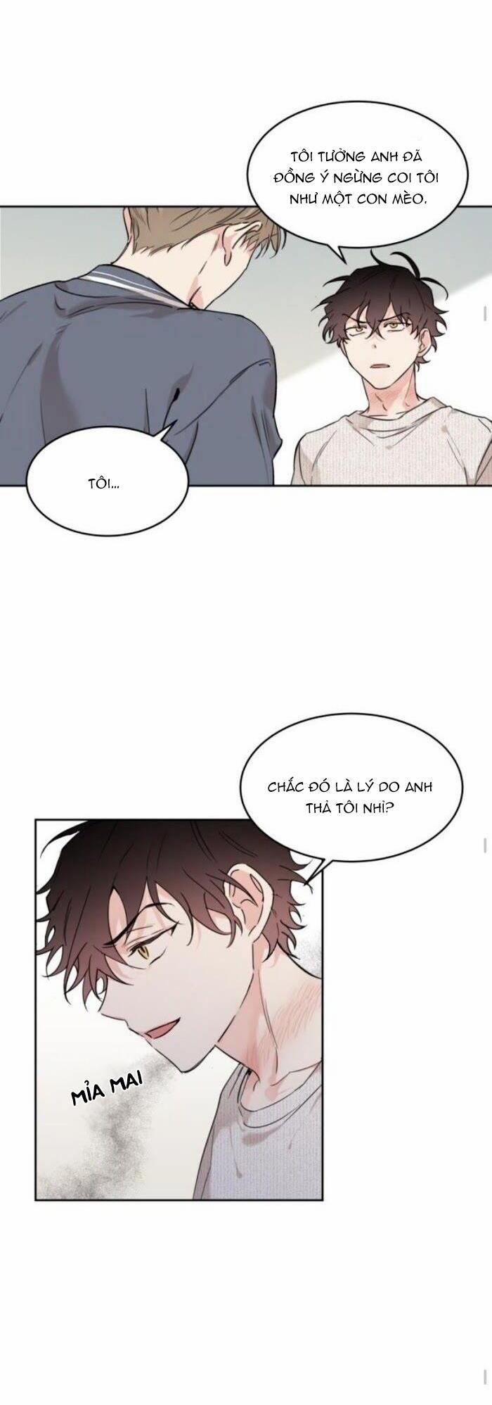 May Belongs To Me 17 trang 11