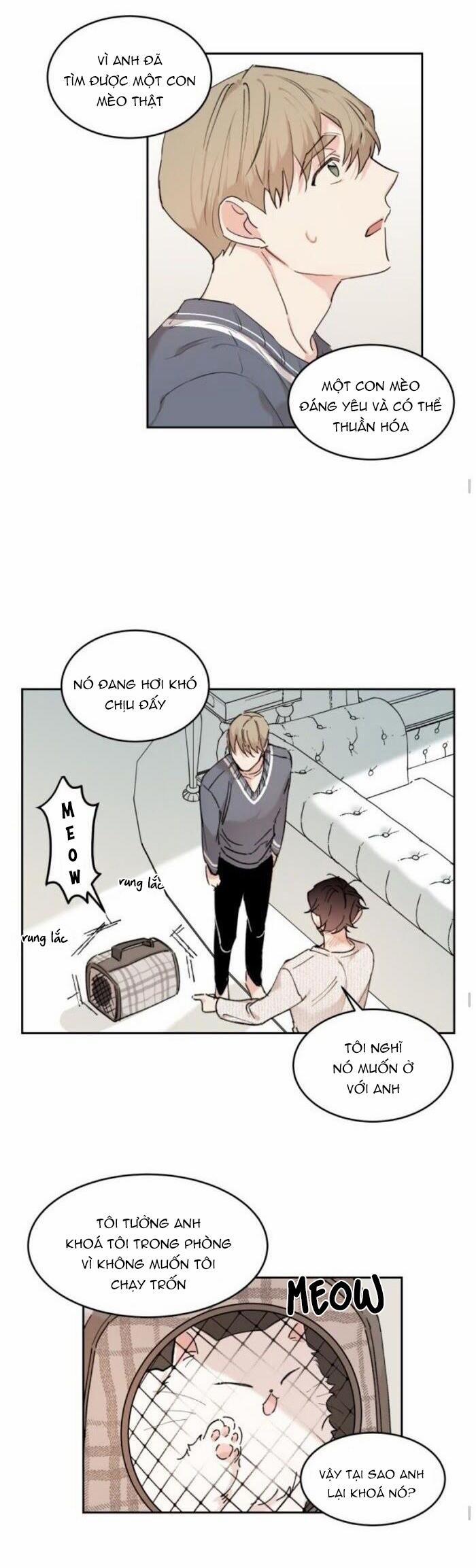 May Belongs To Me 17 trang 12