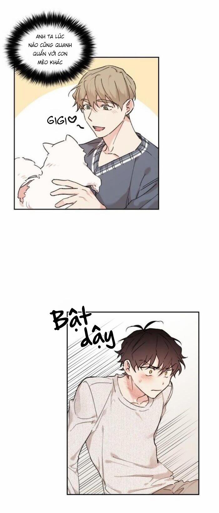 May Belongs To Me 17 trang 2