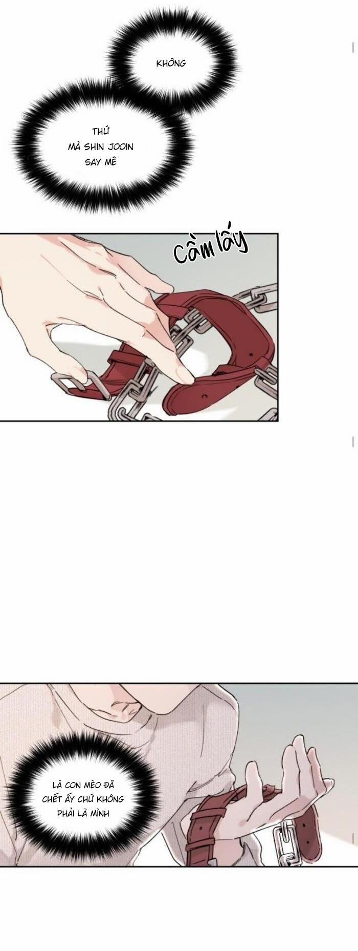 May Belongs To Me 17 trang 4