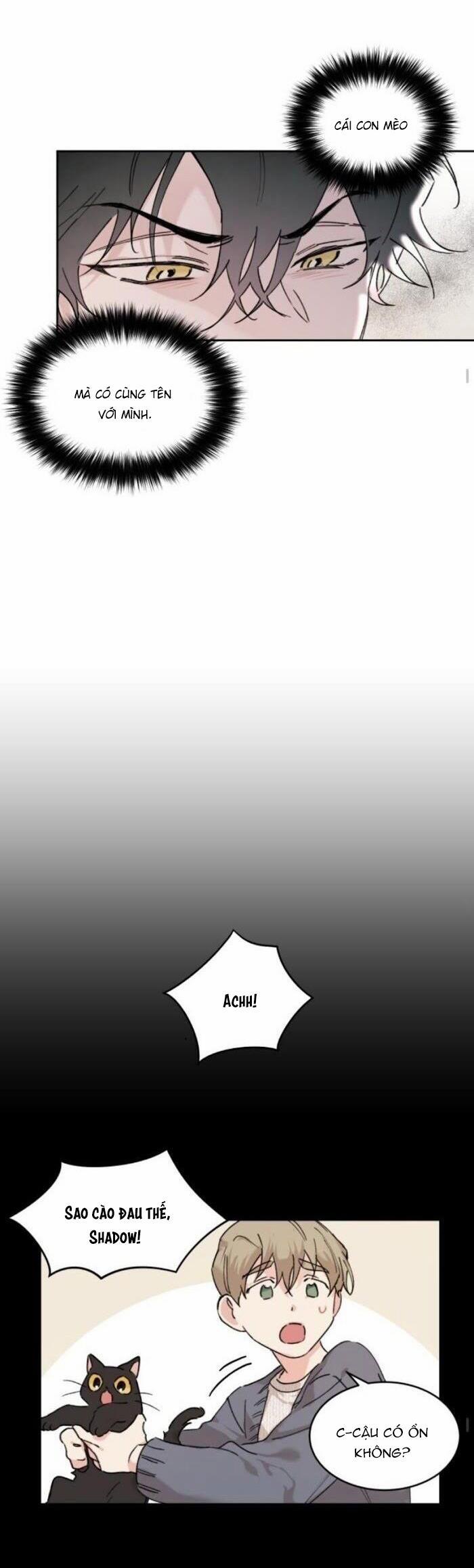 May Belongs To Me 17 trang 5