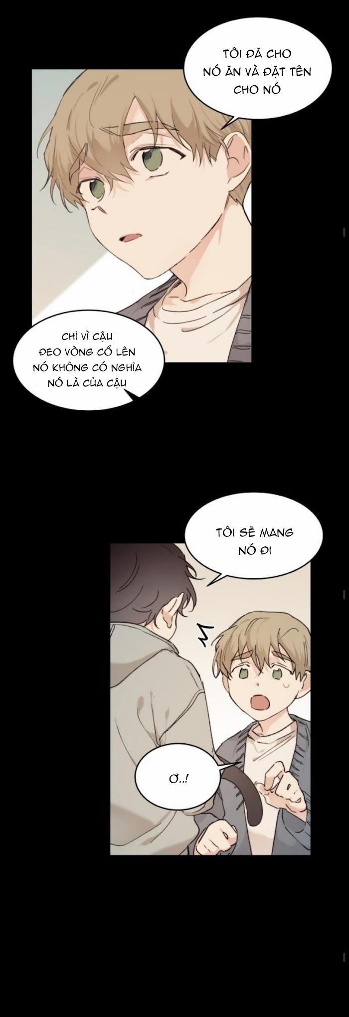 May Belongs To Me 19 trang 11