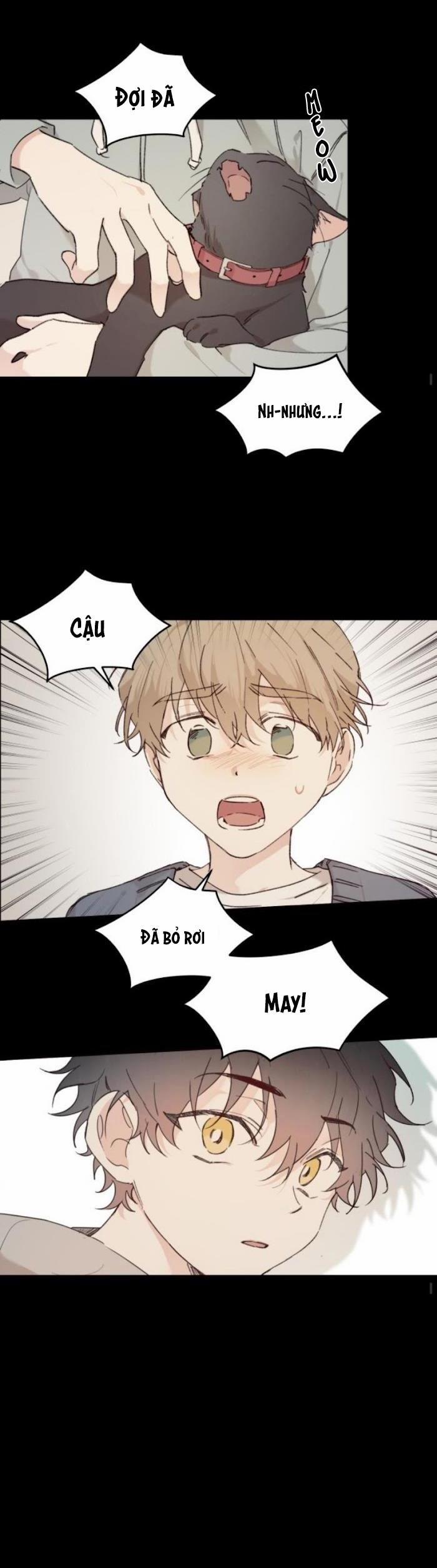 May Belongs To Me 19 trang 12