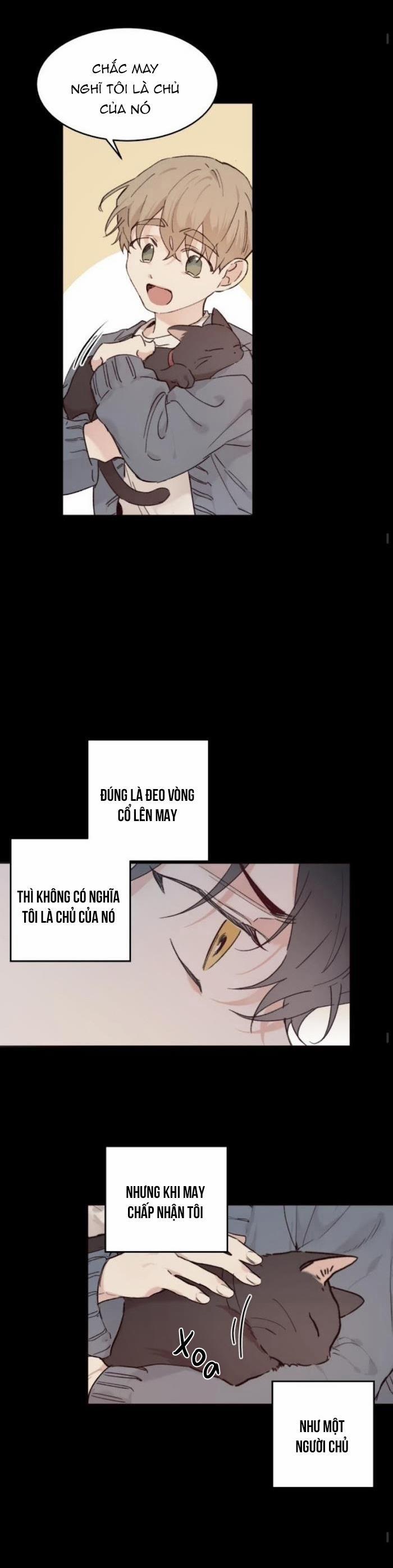 May Belongs To Me 19 trang 14