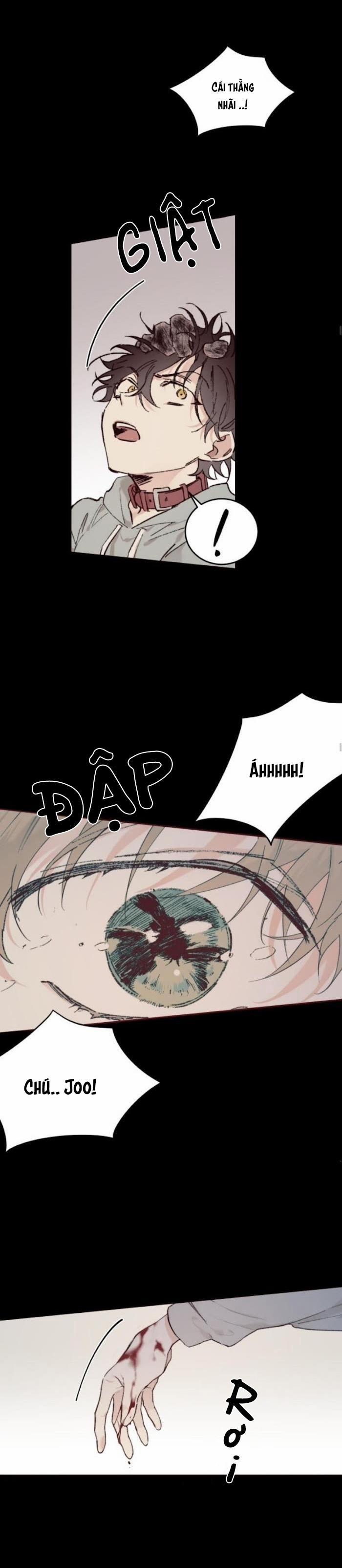 May Belongs To Me 19 trang 21