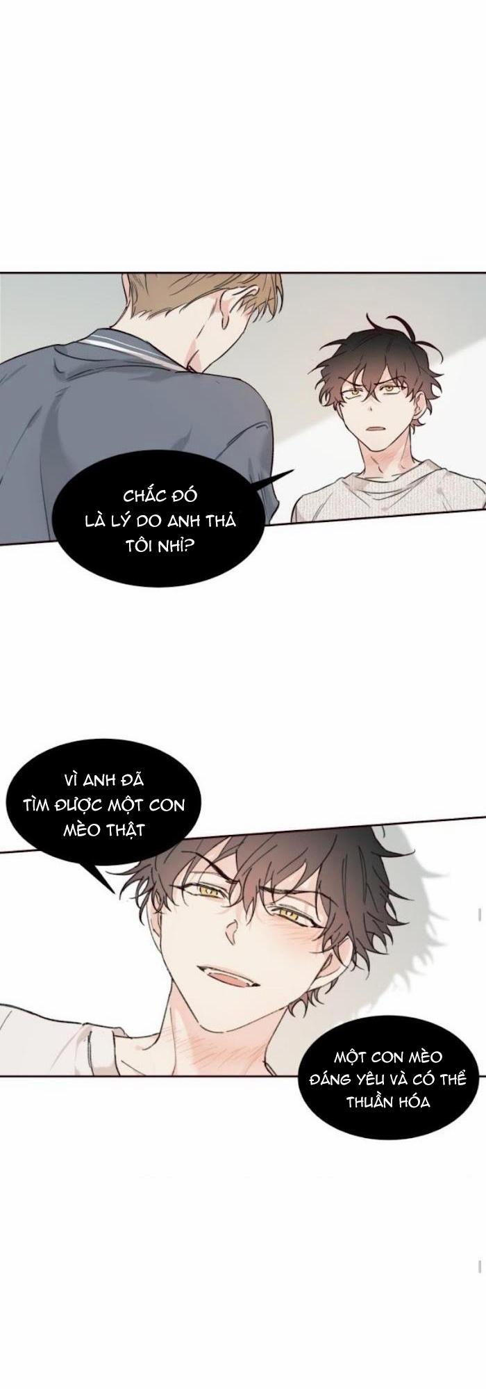 May Belongs To Me 19 trang 6