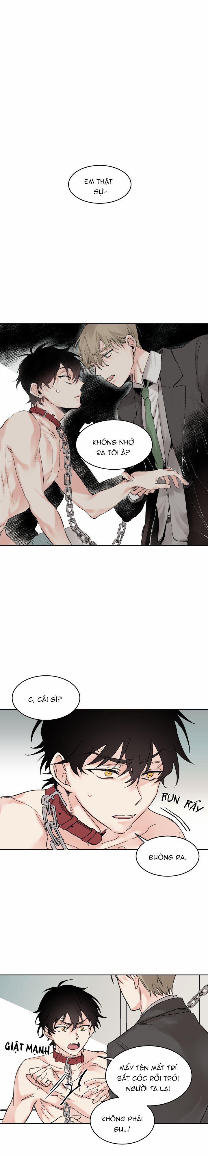 May Belongs To Me 2 trang 0