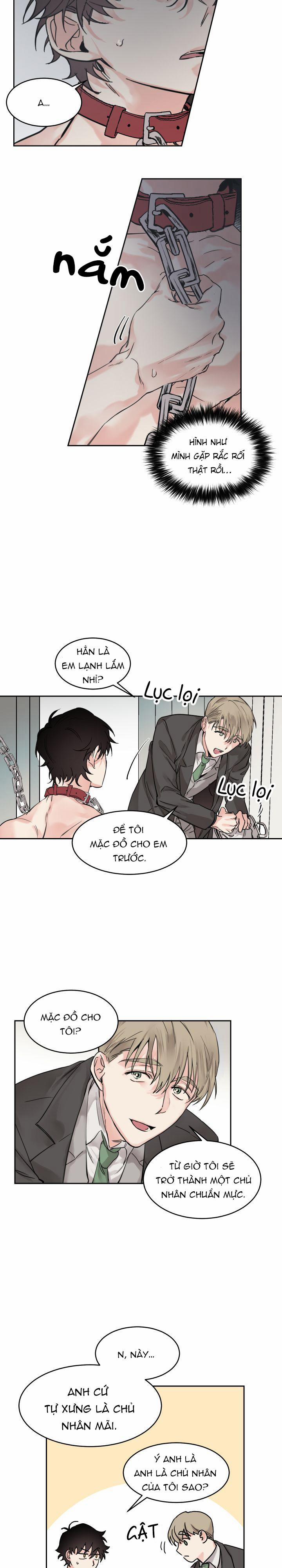 May Belongs To Me 2 trang 12