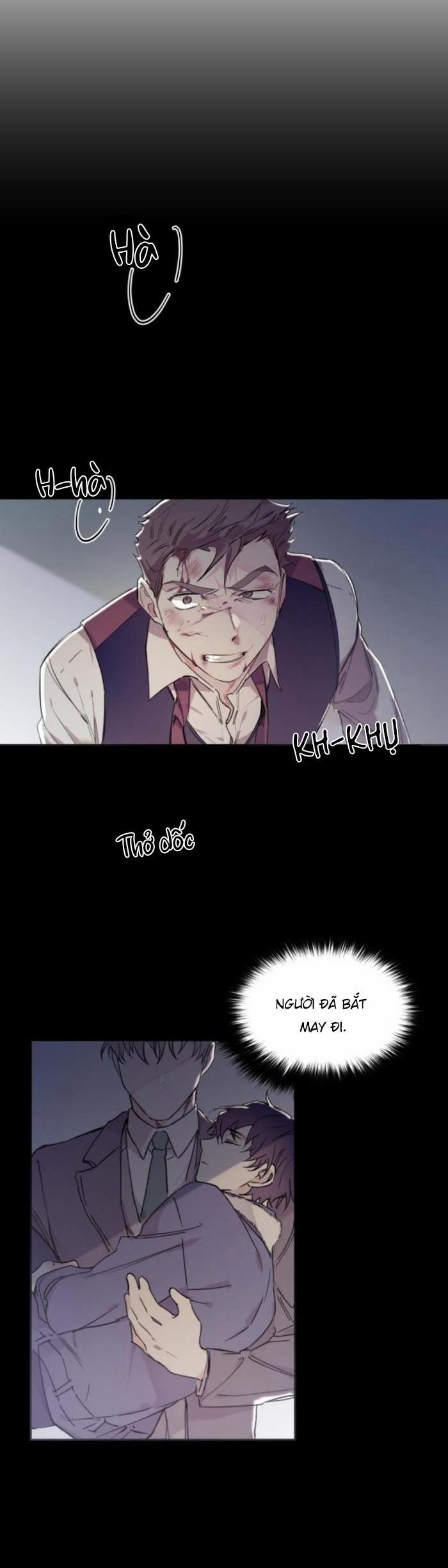 May Belongs To Me 21 trang 23