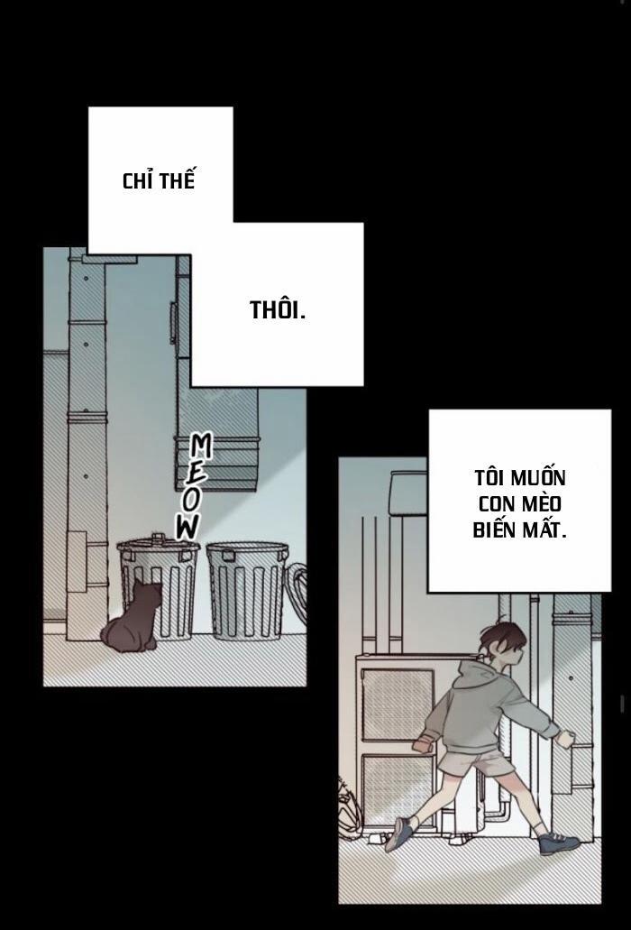 May Belongs To Me 24 trang 50