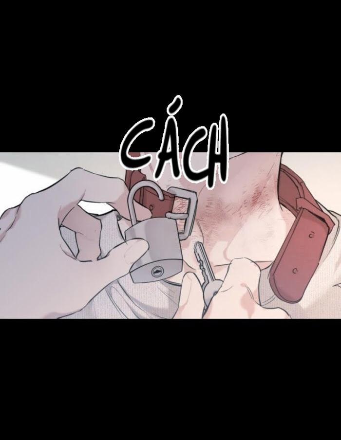 May Belongs To Me 24 trang 8