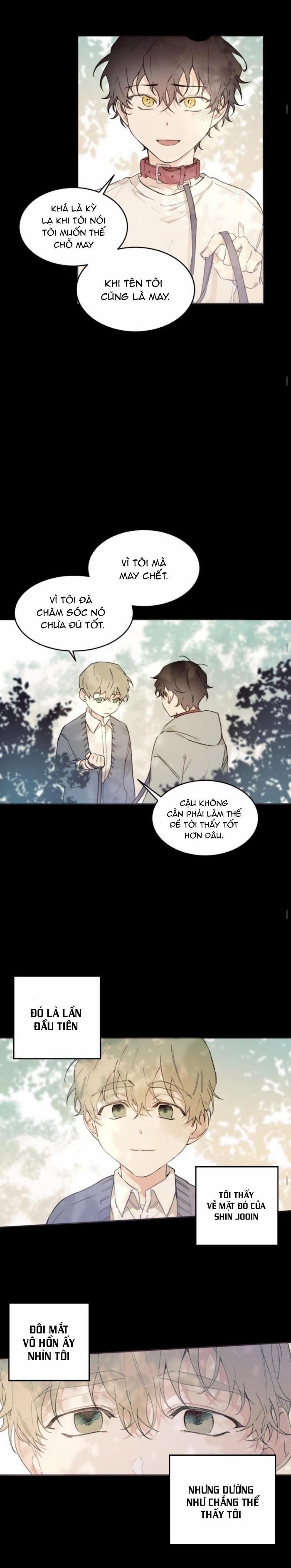 May Belongs To Me 25 trang 3