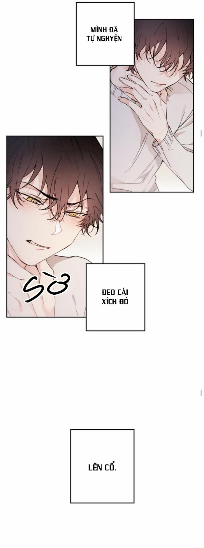 May Belongs To Me 25 trang 7