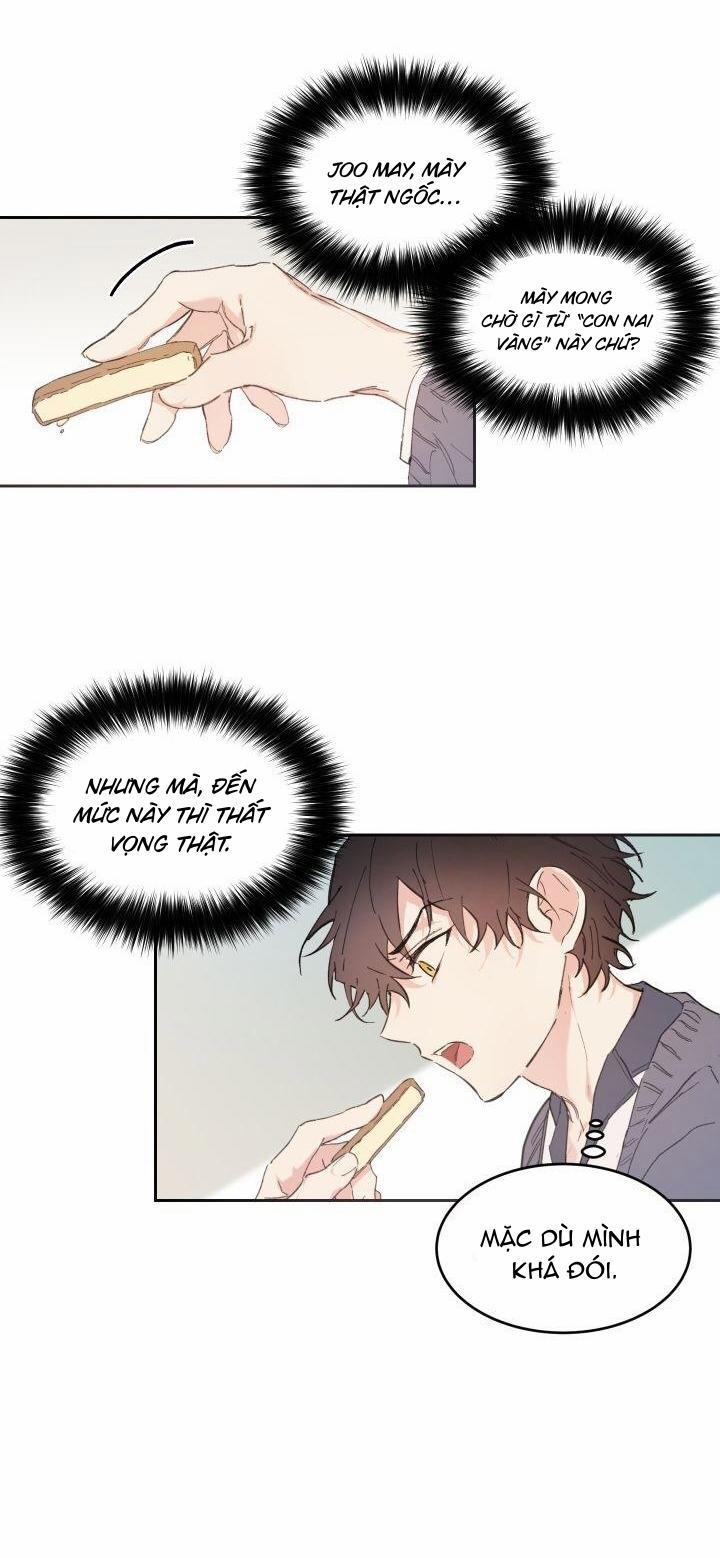 May Belongs To Me 27 NT1 trang 13