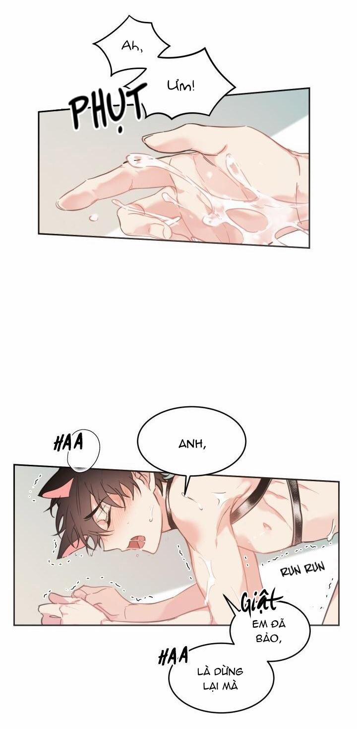 May Belongs To Me 29 NT3 trang 20