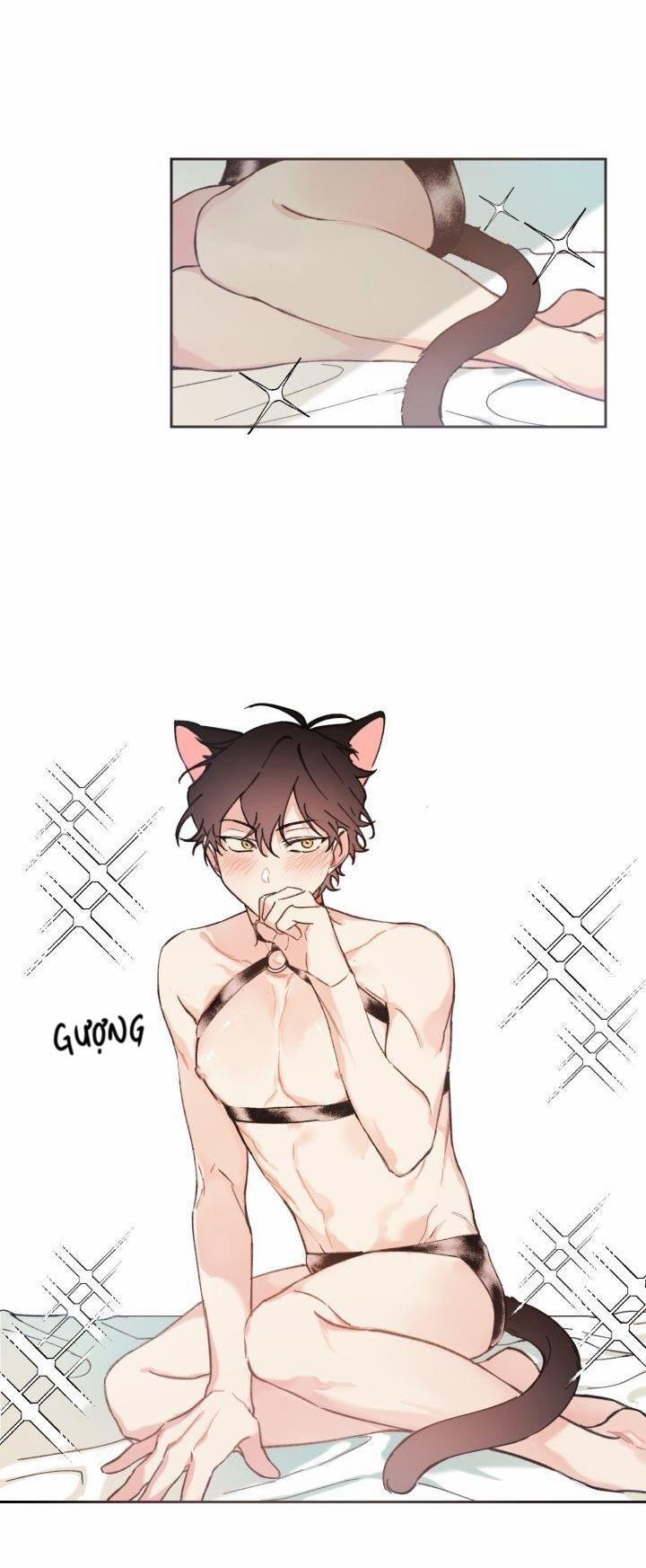 May Belongs To Me 29 trang 12