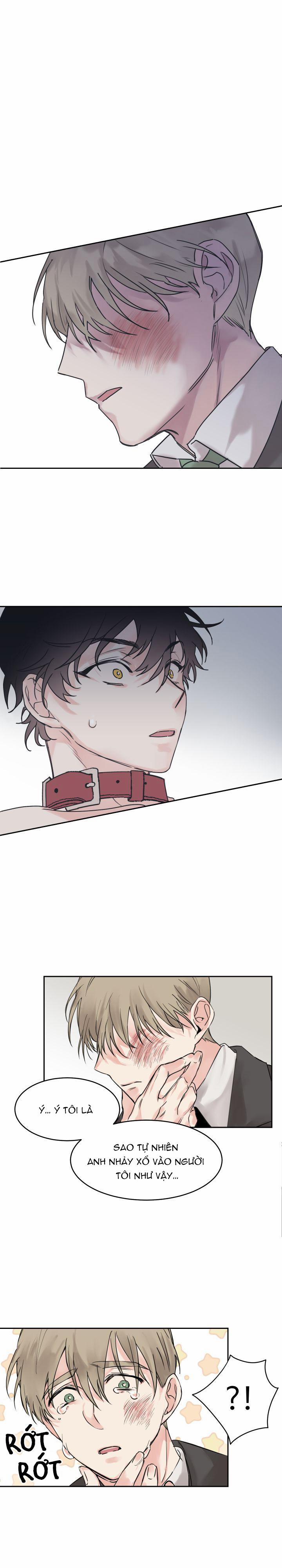 May Belongs To Me 3 trang 0