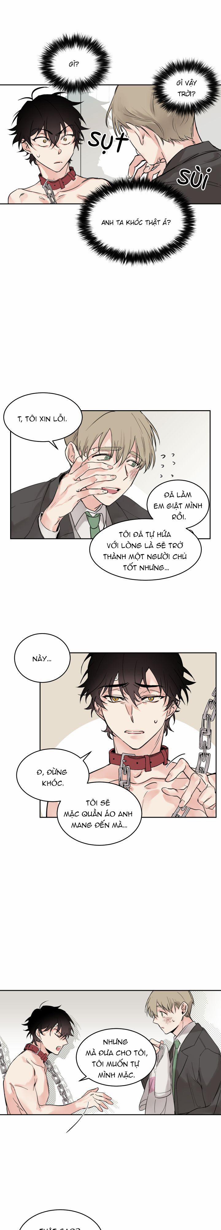 May Belongs To Me 3 trang 1