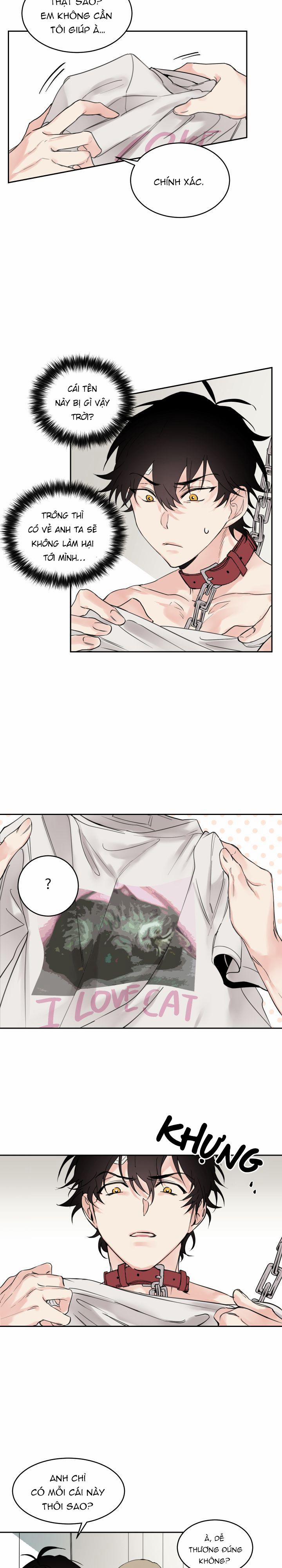 May Belongs To Me 3 trang 2