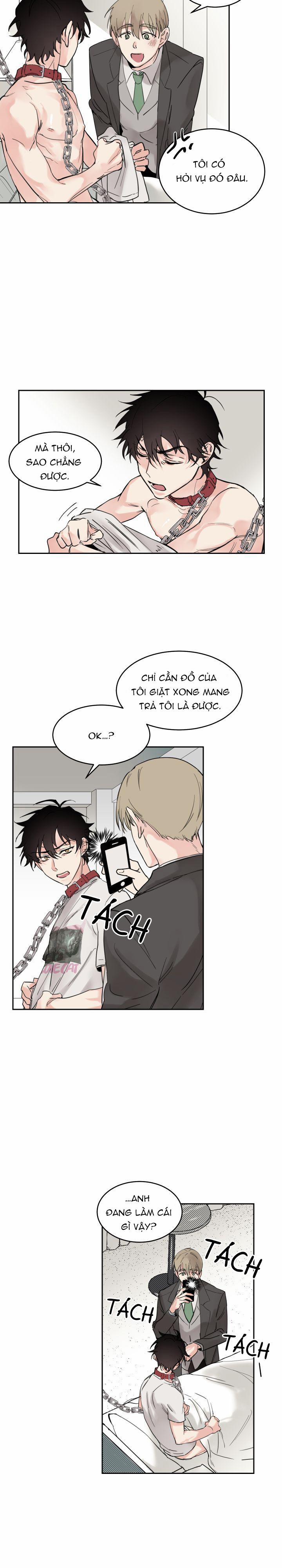 May Belongs To Me 3 trang 3