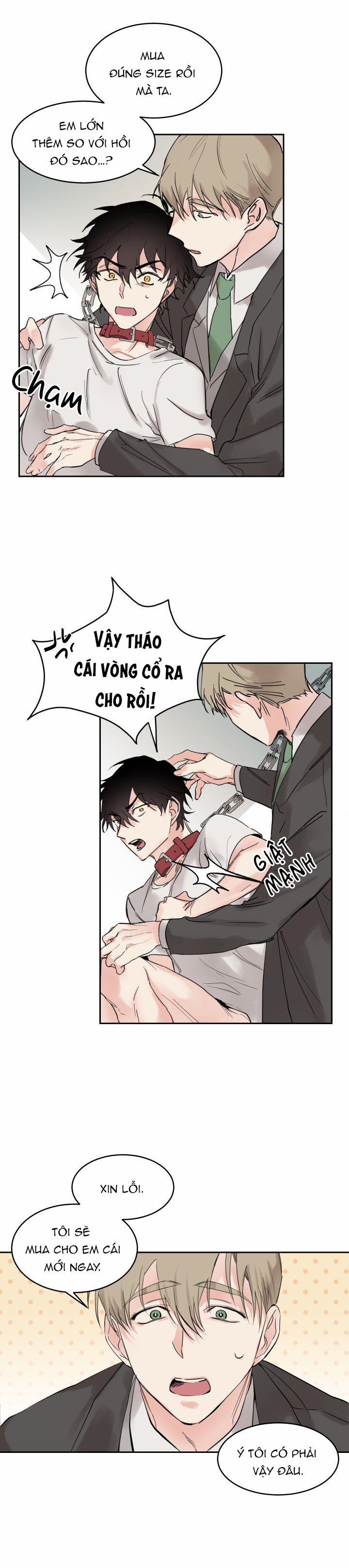 May Belongs To Me 3 trang 9