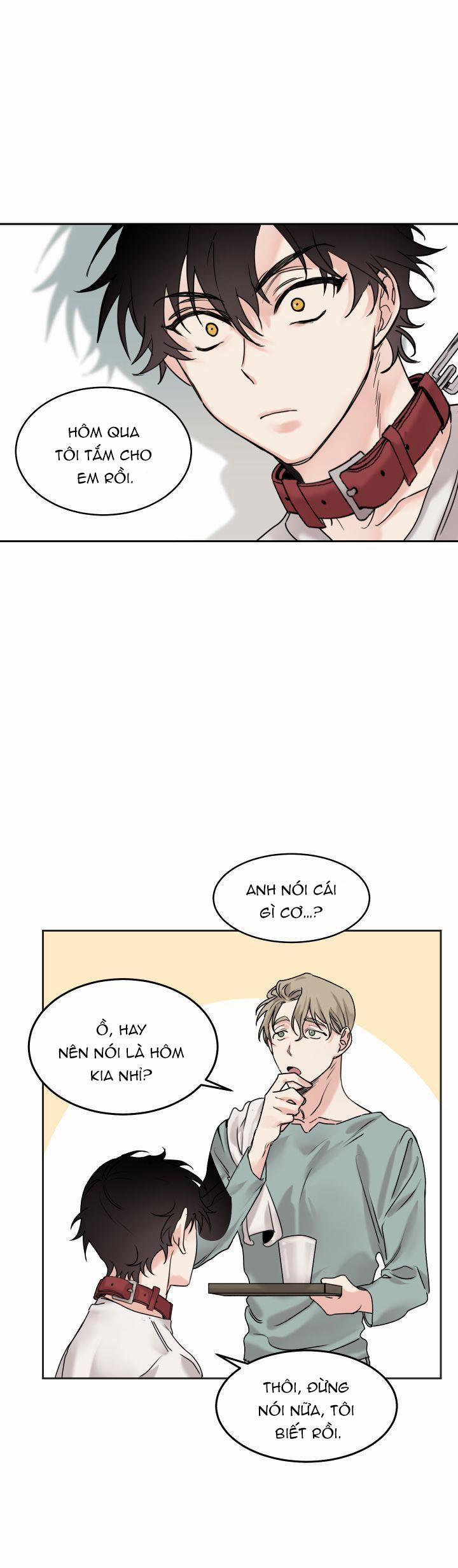 May Belongs To Me 4 trang 0