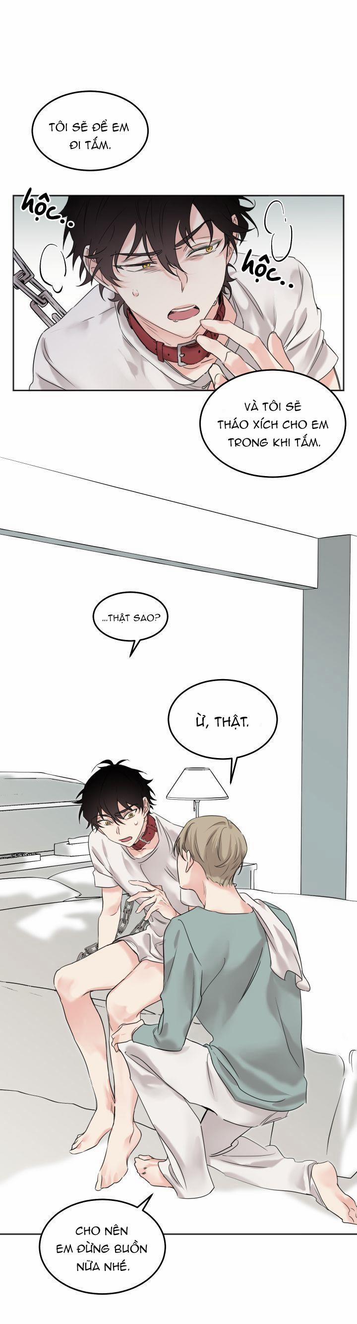 May Belongs To Me 4 trang 4