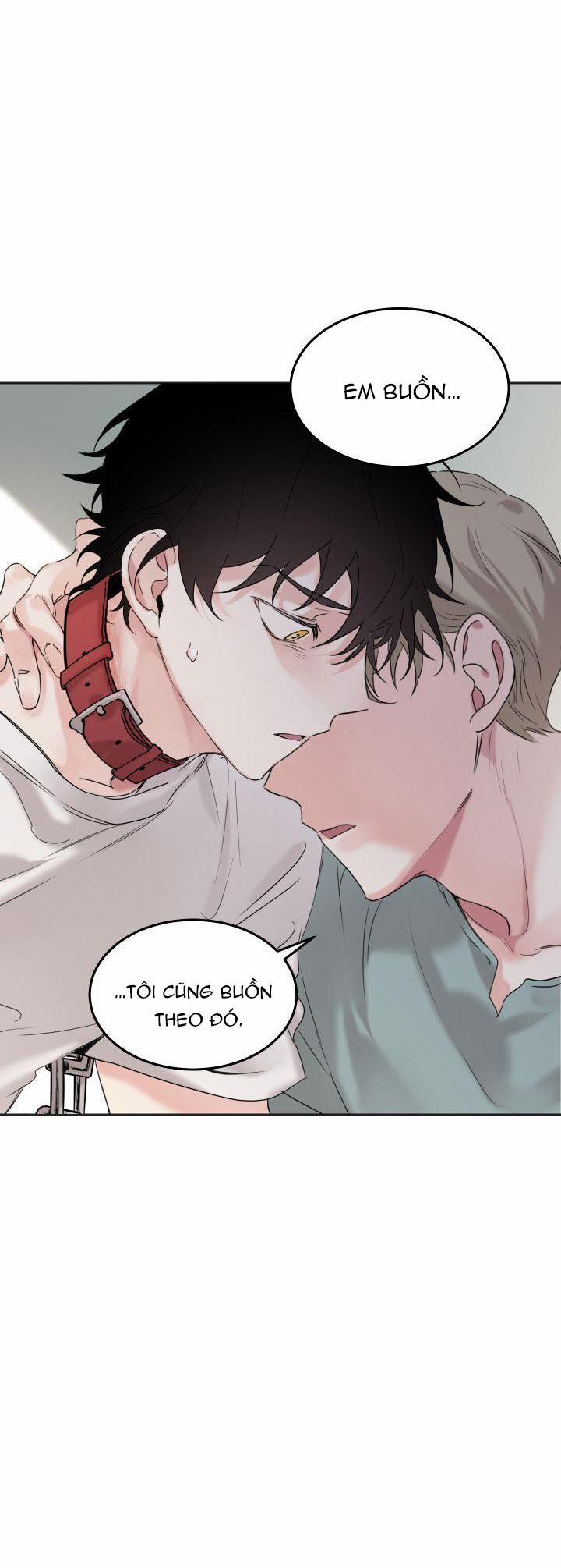 May Belongs To Me 4 trang 5