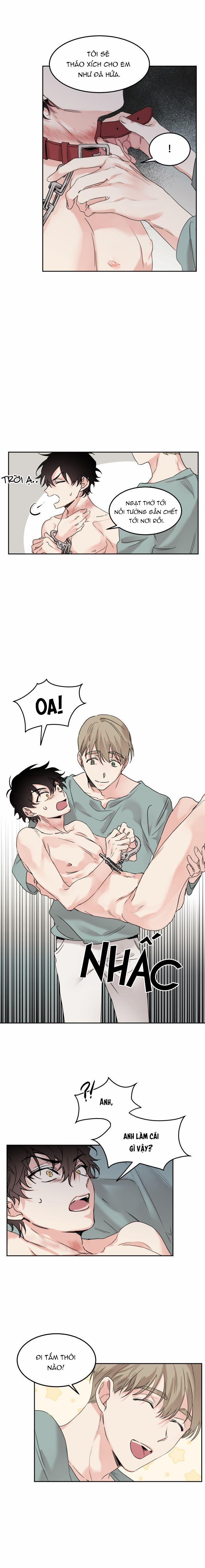 May Belongs To Me 4 trang 8