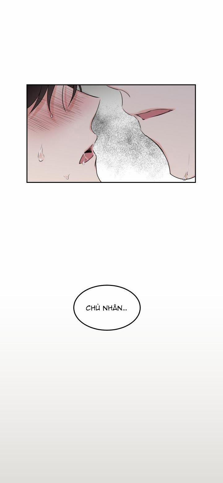 May Belongs To Me 5 trang 14