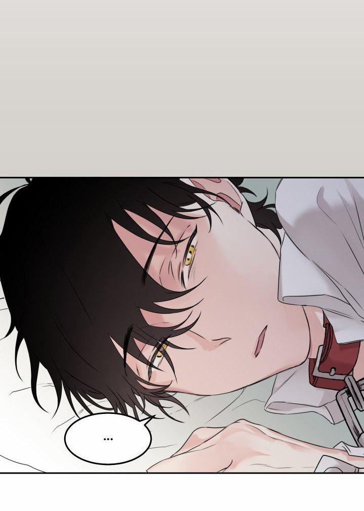 May Belongs To Me 5 trang 15