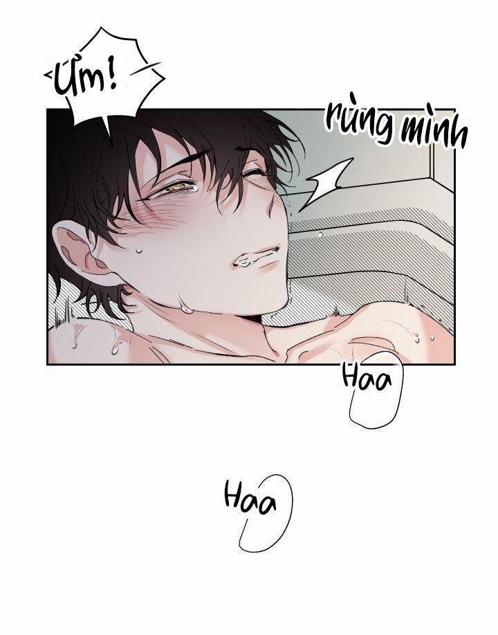 May Belongs To Me 5 trang 3